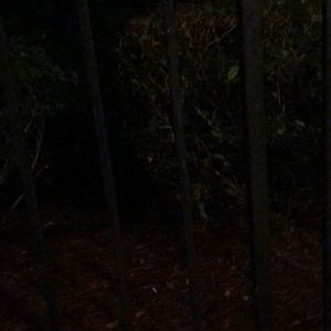 Meet your Posher, Darius